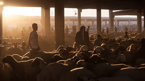 Sacrifice Islam course