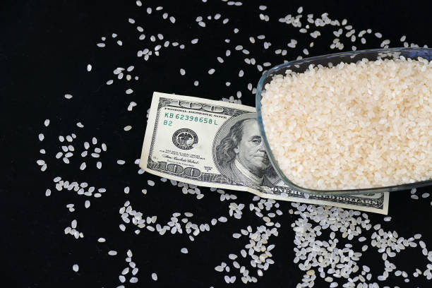 Zakat course for adults and children