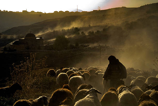 qurbani after eid prayer
