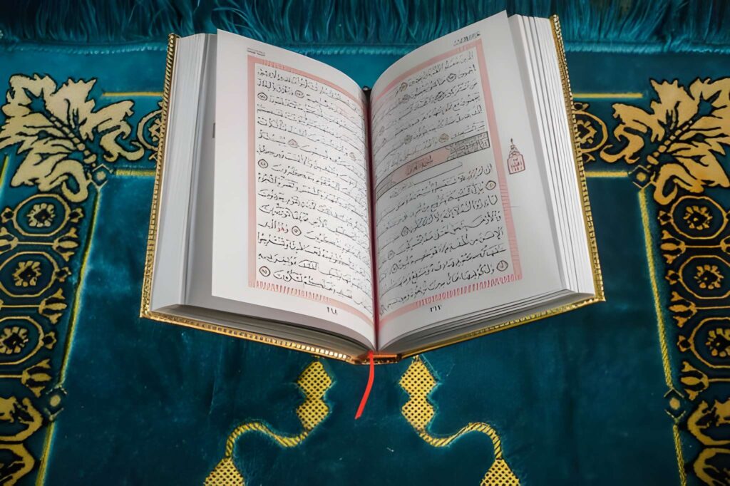 Alim Course 13 Alim program