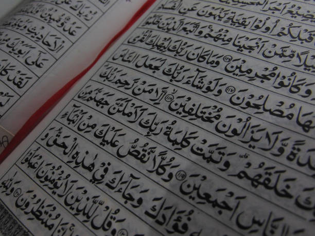 Quran translation with scholars