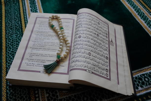 Quran translation for beginners