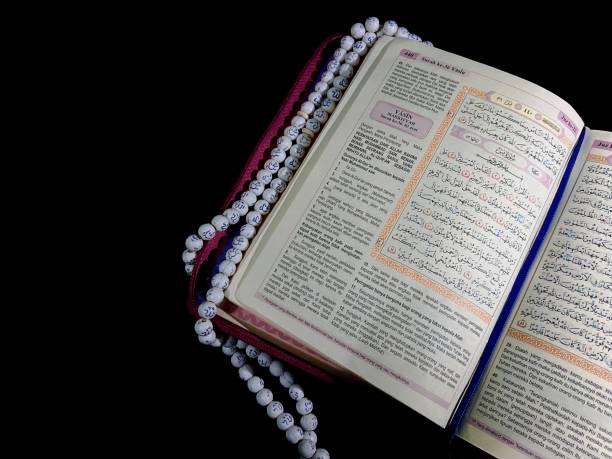 Quran translation with scholars